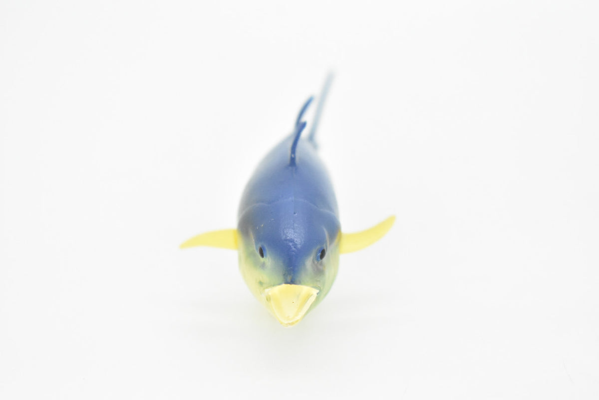Yellowfin Tuna, Fish, Very Realistic Rubber Reproduction, Hand Painted,    4"     CH021 BB72