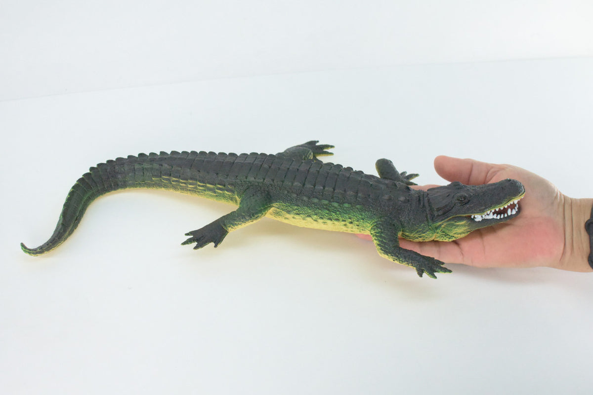 Alligator, Crocodile, High Quality, Hand Painted, Hard Rubber, Realistic Reptile, Toy Figure, Model, Replica, Kids, Educational, Gift,    16"    IM16 B654