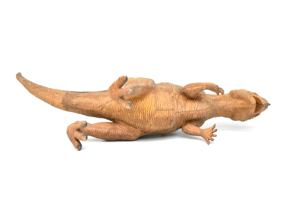 Stegoceras, Dinosaur, Late Cretaceous, Stegoceras validum, Museum Quality, Realistic, Educational, Hand Painted, Lifelike Design, Diorama Model, Replica, Toy, Gift      14 Inches        CWG156 BB32