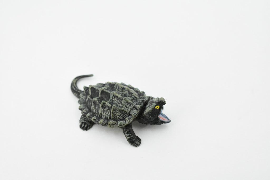 Alligator Snapping Turtle, Reptile, Hand Painted, Museum Quality, Educational, Realistic Toy Figure, Diorama Model, Kids,   2 1/2 Inches. 