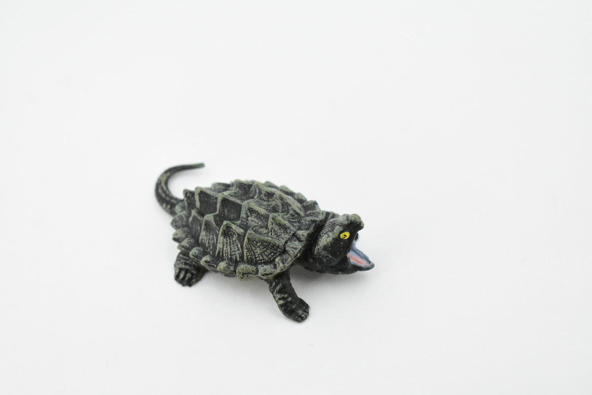 Alligator Snapping Turtle, Reptile, Hand Painted, Museum Quality, Educational, Realistic Toy Figure, Diorama Model, Kids,   2 1/2 Inches. 