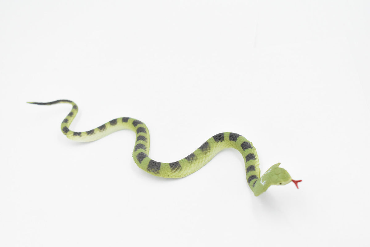 Snake, King Cobra, Green, Rubber Reptile, Educational, Realistic Hand Painted, Figure, Lifelike Model, Figurine, Replica, Gift,      10"       F2085 B142