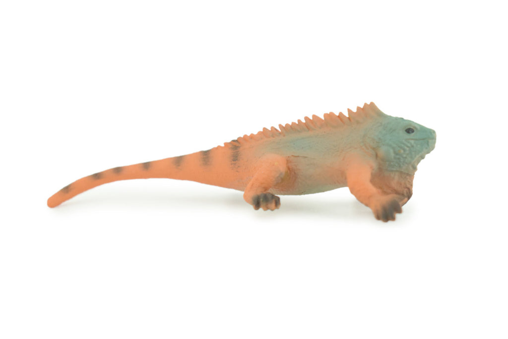 Iguana, Marine iguana, Lizard, Museum Quality, Hand Painted, Hard Rubber Reptile, Educational, Toy Figure, Diorama Model, Replica, Kids, Gift, 4 Inches. CH1056 BB218