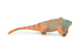 Iguana, Marine iguana, Lizard, Museum Quality, Hand Painted, Hard Rubber Reptile, Educational, Toy Figure, Diorama Model, Replica, Kids, Gift, 4 Inches. CH1056 BB218