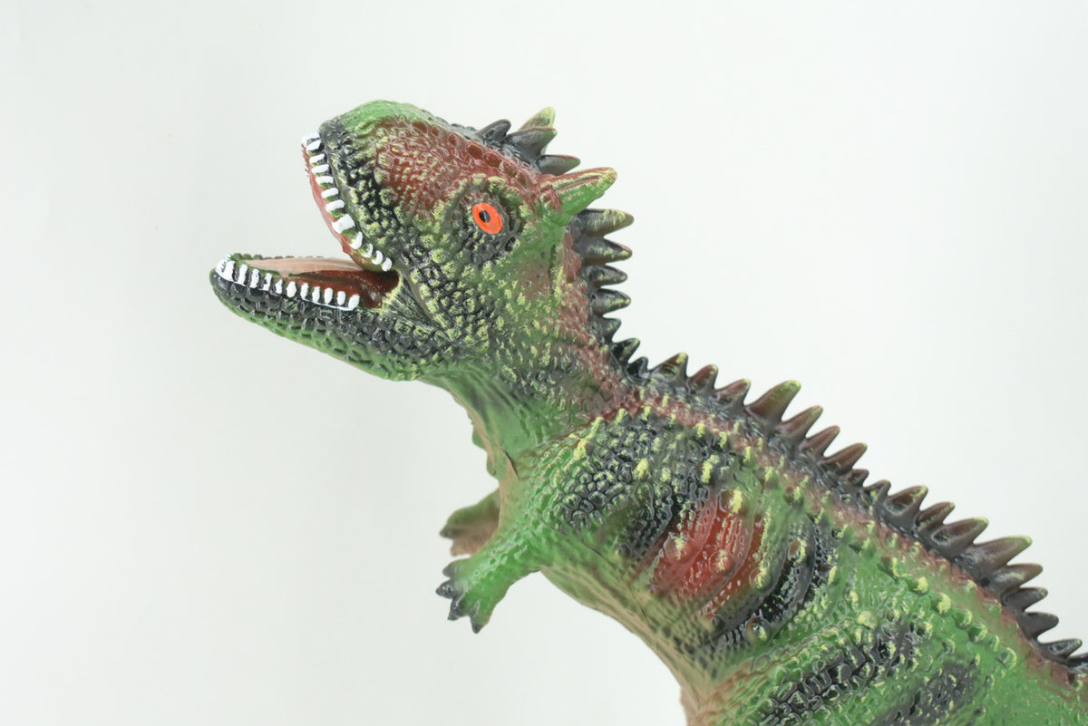 Carnotaurus, Horned Carnivore, Cretaceous Dinosaur, Hand Painted, Educational, Soft Rubber, Lifelike Model, Gift,    19"   AR15 B310