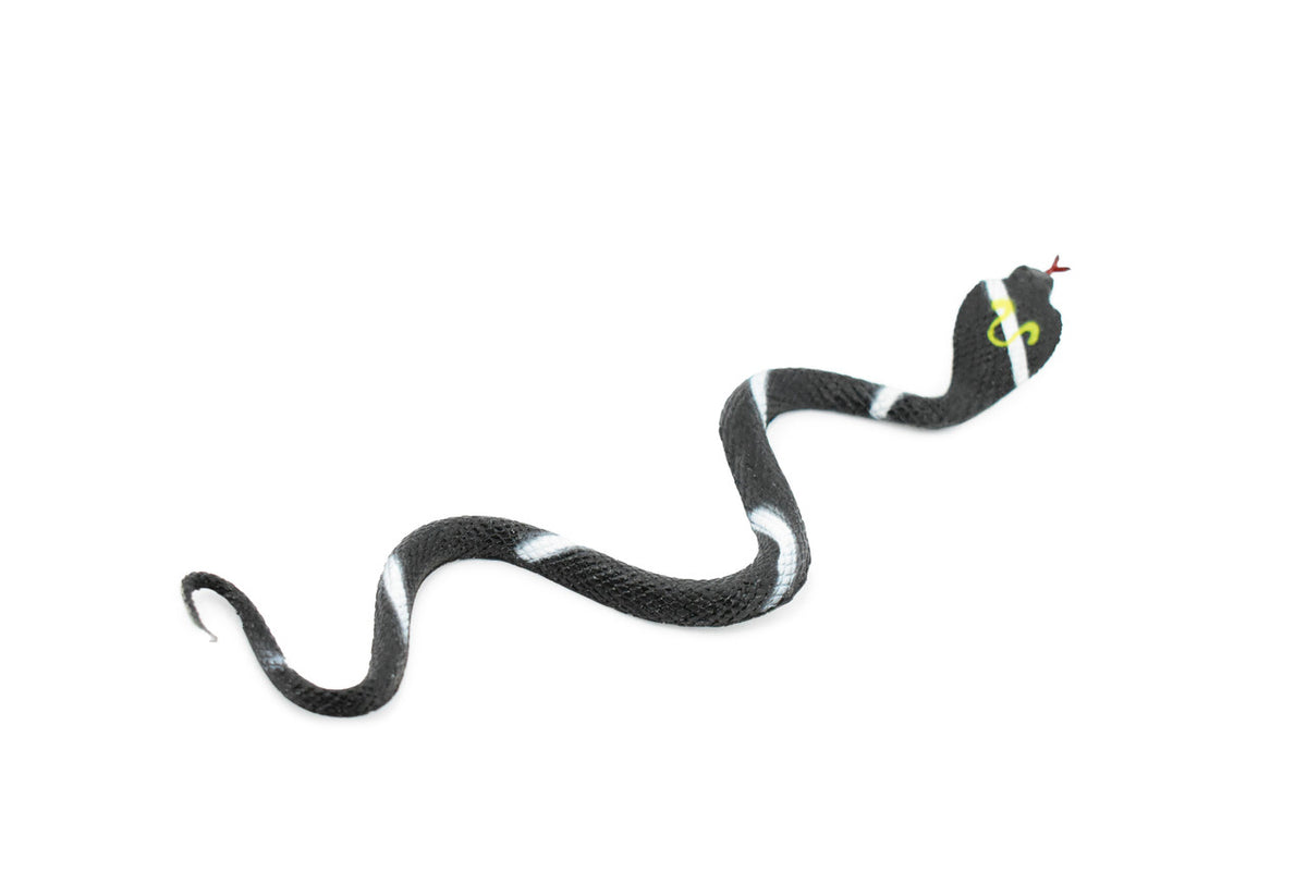Snake, Cobra, Black and White, Rubber Reptile, Educational, Realistic Hand Painted, Figure, Lifelike Model, Figurine, Replica, Gift,      10"       F2081 B142