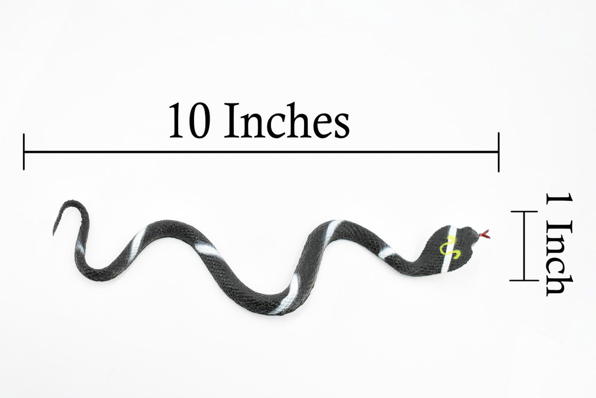 Snake, Cobra, Black and White, Rubber Reptile, Educational, Realistic Hand Painted, Figure, Lifelike Model, Figurine, Replica, Gift,      10"       F2081 B142