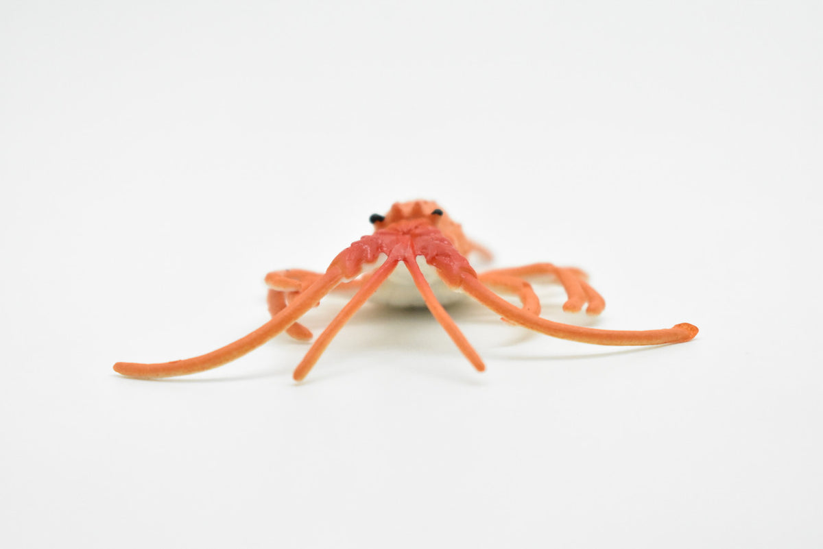 Lobster, Realistic Rubber Crustacean Design, Homarus americanus, Hand Painted, Realistic, Soft Rubber, Educational Diorama Model, Toy, 3 Inches.