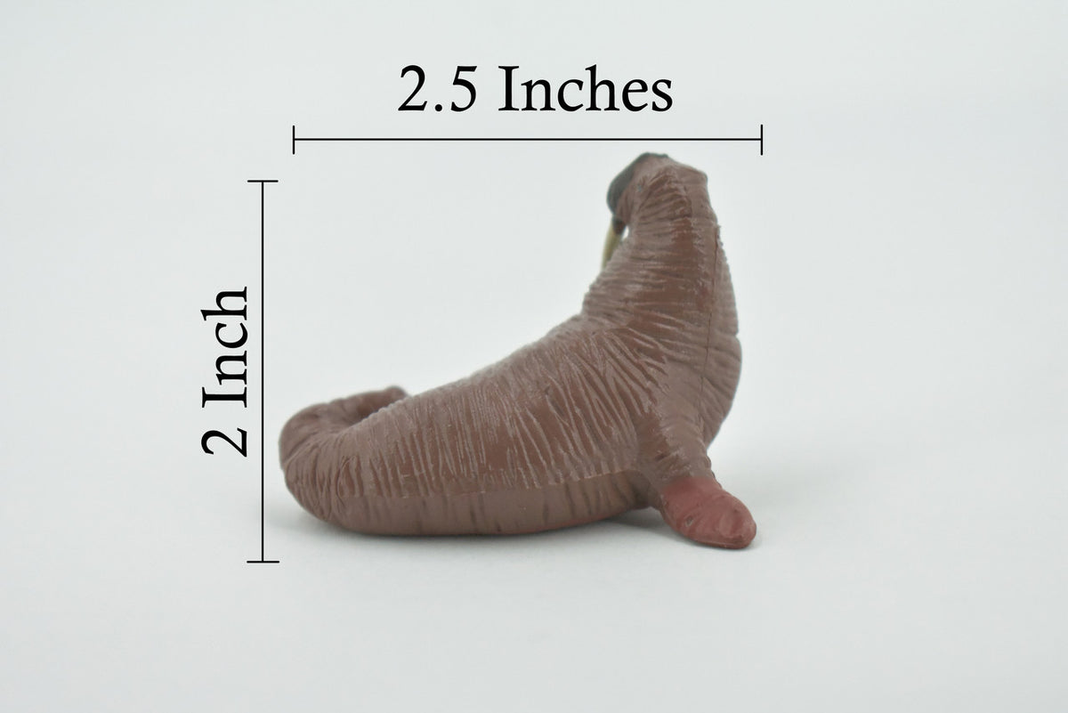 Walrus, Pinniped, Marine Mammal, Very Realistic Rubber Design, Educational, Hand Painted, Rubber, Realistic, Toy, Diorama Model, Kids, Gift,    2 1/4 Inches.