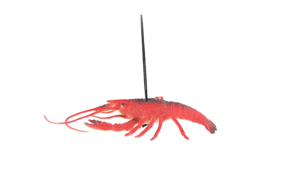 Lobster, Crayfish, Crawdad Design, Red, Rubber Crustaceans, Educational, Figure, Lifelike, Model, Replica, Gift,     7"       F1947 B173