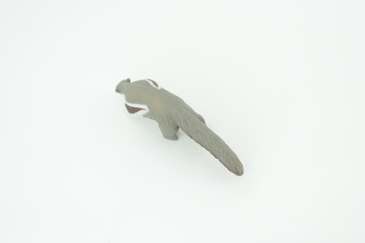 Giant Anteater, Myrmecophaga tridactyla, Hand Painted, Educational, Rubber Animal, Realistic Figure, Lifelike, Gift,    3"    SF32 B44