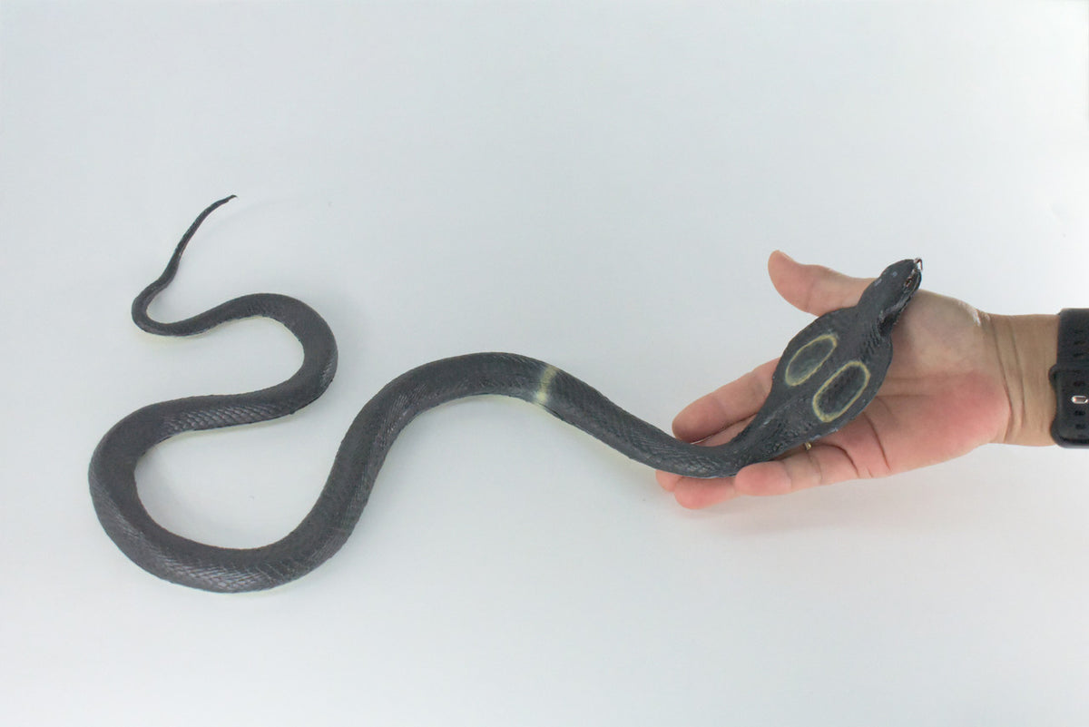 King Cobra, High Quality, Hand Painted, Hard Rubber Snake, Realistic Reptile, Toy Figure, Model, Replica, Kids, Educational,  16 Inches.