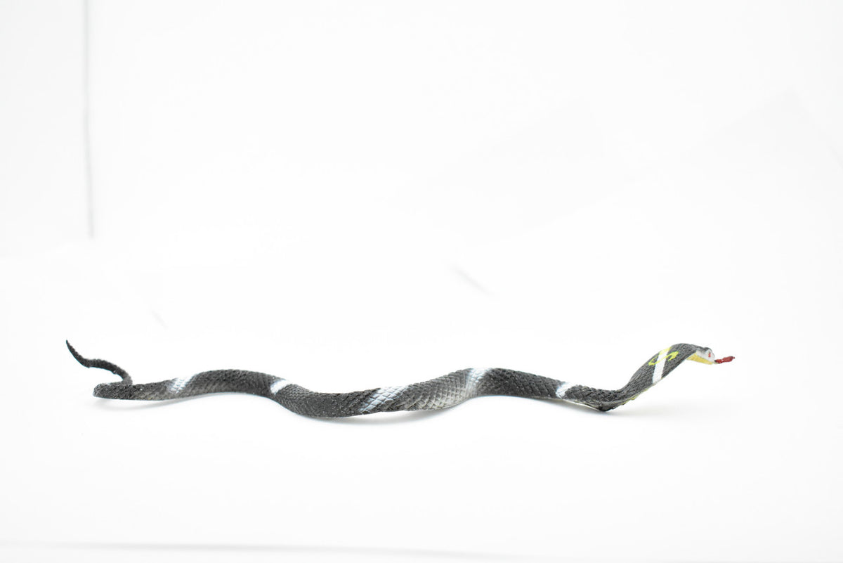 Snake, Cobra, Black and White, Rubber Reptile, Educational, Realistic Hand Painted, Figure, Lifelike Model, Figurine, Replica, Gift,      10"       F2081 B142