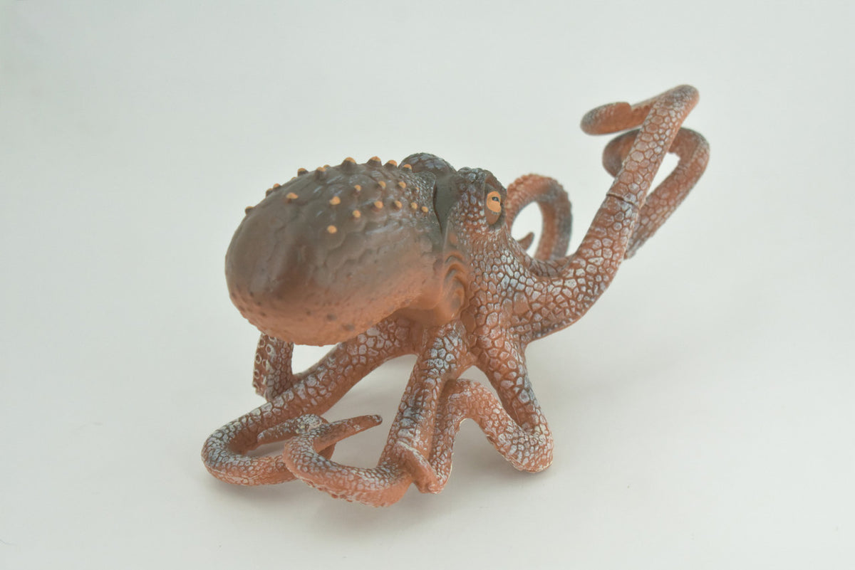 Octopus, Octopodes, Octopoda, Octopi, Ocean, Hand Painted, Rubber Realistic Toy Figure, Diorama, Model, Replica, Kids, Educational, Gift,   8 Inches   CH1000 BB219