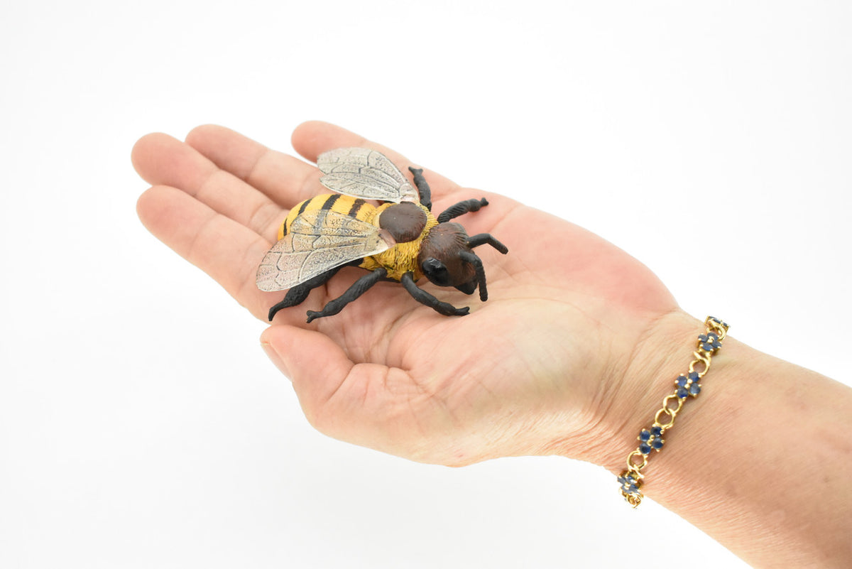 Bee, Bumblebee, Hornet, Yellowjacket, Museum Quality, Rubber Insect, Hand Painted, Realistic Toy Figure, Diorama Model, Kids, Educational,  3 Inches.