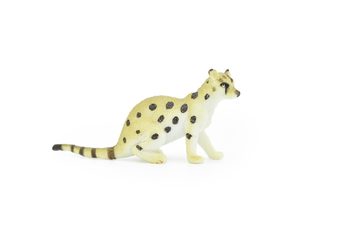 Malabar large-spotted civet, Civet Cat, Asia, Very Nice Plastic Animal, Hand Painted, Educational, Realistic, Lifelike, Diorama Model, Toy, Kids,  3 Inches. 
