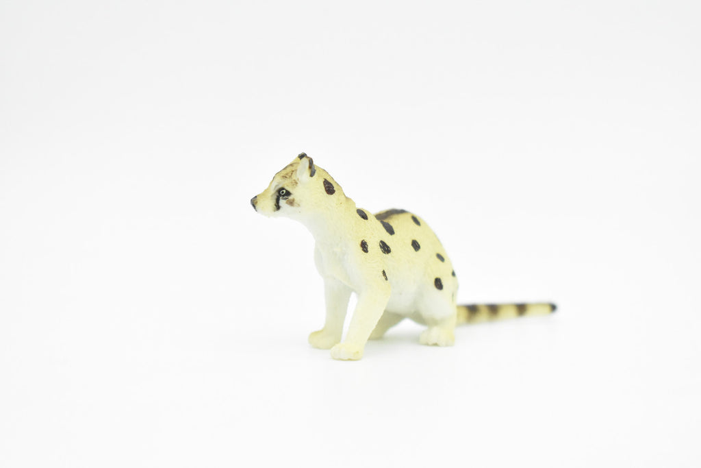 Malabar large-spotted civet, Civet Cat, Asia, Very Nice Plastic Animal, Hand Painted, Educational, Realistic, Lifelike, Diorama Model, Toy, Kids, Gift,  3 Inches.     CWG129 B238
