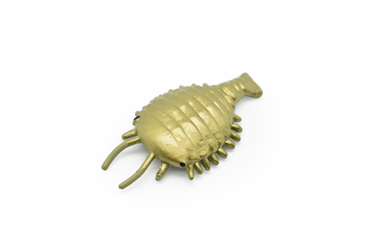 Sidneyia, Arthropod Fossil, Cambrian Sea Animal, Very Nice Plastic Reproduction    2"    F3476 B352