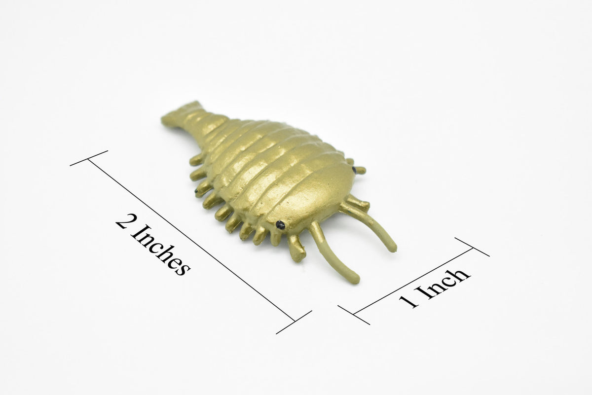 Sidneyia, Arthropod Fossil, Cambrian Sea Animal, Very Nice Plastic Reproduction    2"    F3476 B352