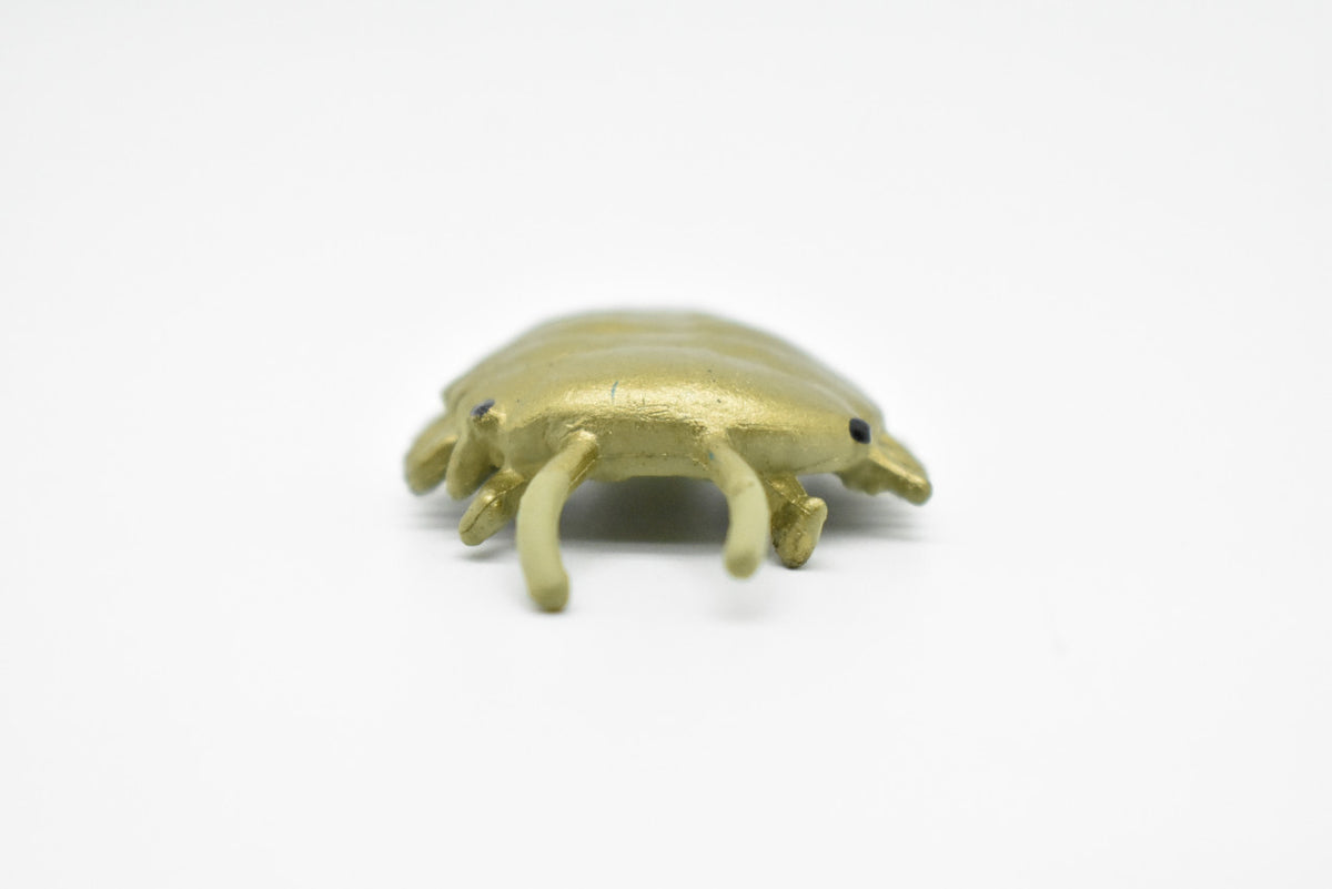 Sidneyia, Arthropod Fossil, Cambrian Sea Animal, Very Nice Plastic Reproduction    2"    F3476 B352
