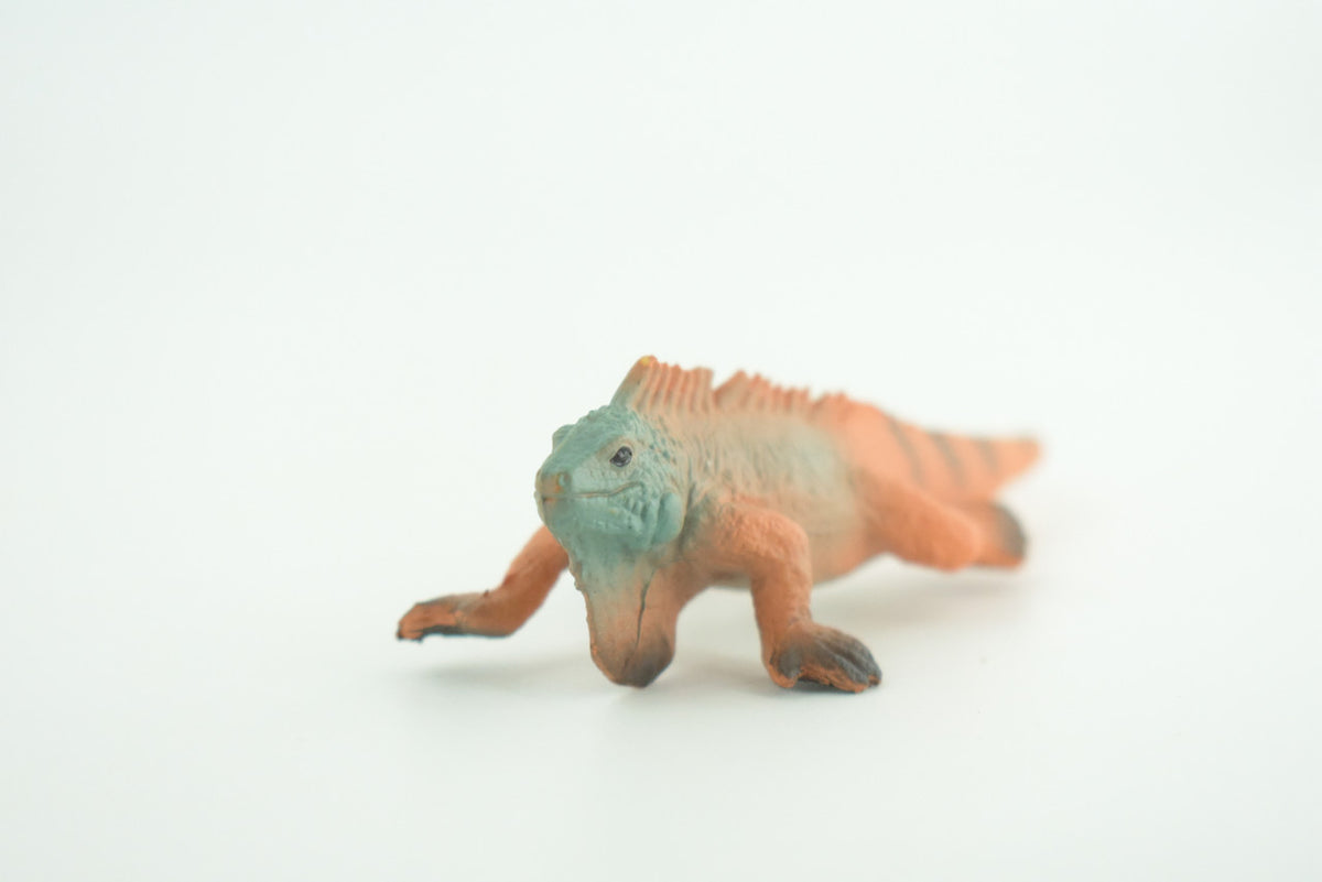 Iguana, Marine iguana, Lizard, Museum Quality, Hand Painted, Hard Rubber Reptile, Educational, Toy Figure, Diorama Model, Replica, Kids, Gift,   4 Inches.      CH1056 BB218