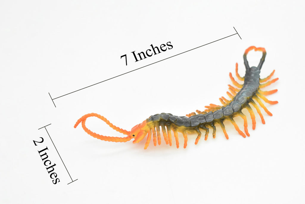 Centipede, Arthropods, Chilopoda, Museum Quality, Rubber Insect, Hand Painted, Realistic Toy Figure, Diorama Model, Kids, Educational,  7 Inches. 