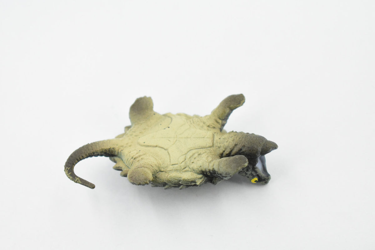 Alligator Snapping Turtle, Reptile, Hand Painted, Museum Quality, Educational, Realistic Toy Figure, Diorama Model, Kids, Gift,     2 1/2 Inches.   CH442 BB109