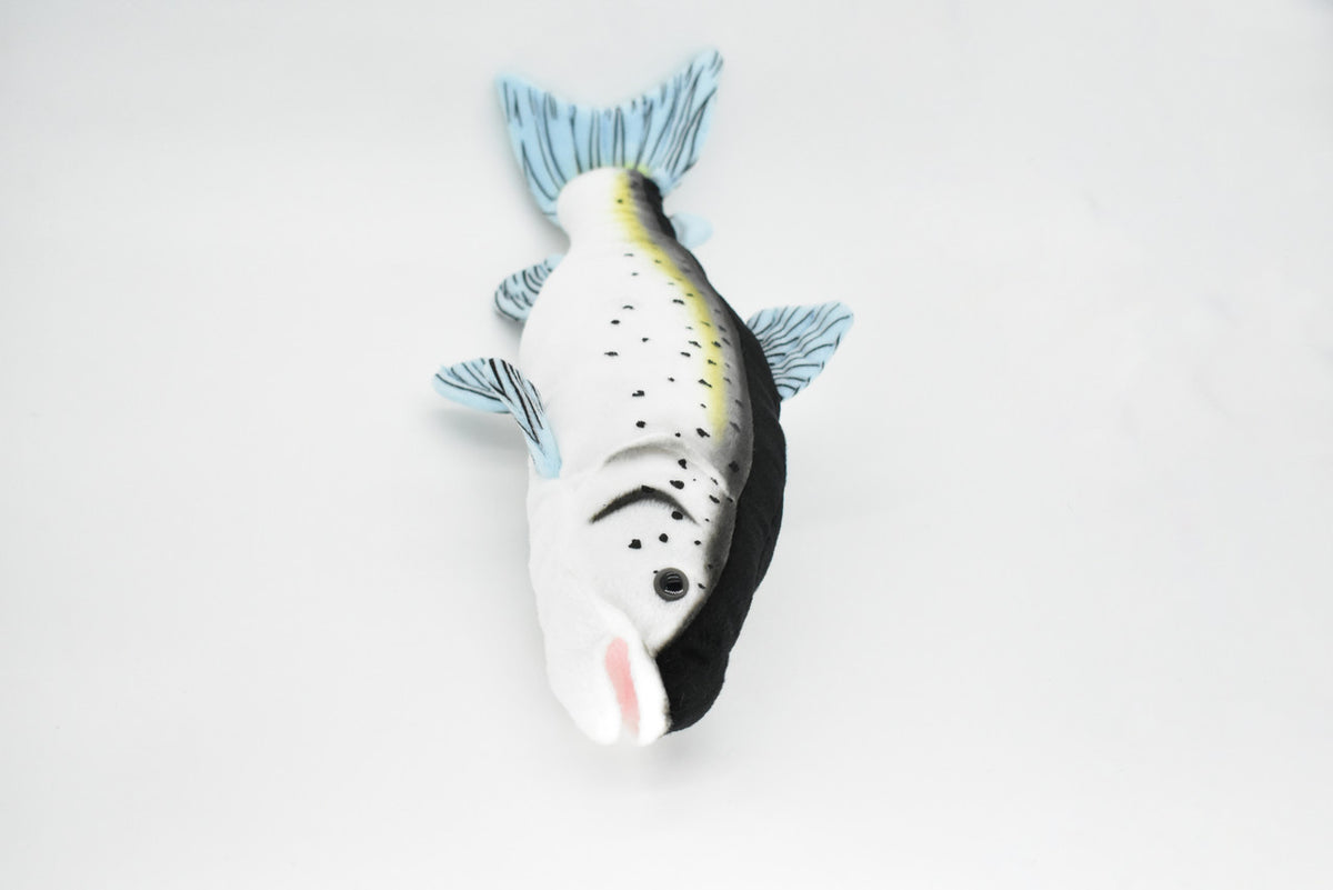 Atlantic Salmon Plush Toy, Realistic Stuffed Animal, Soft Plush Fish, Stuffed Fish, Educational, Toy, Kids, Gift,          17"      F4335 BB11