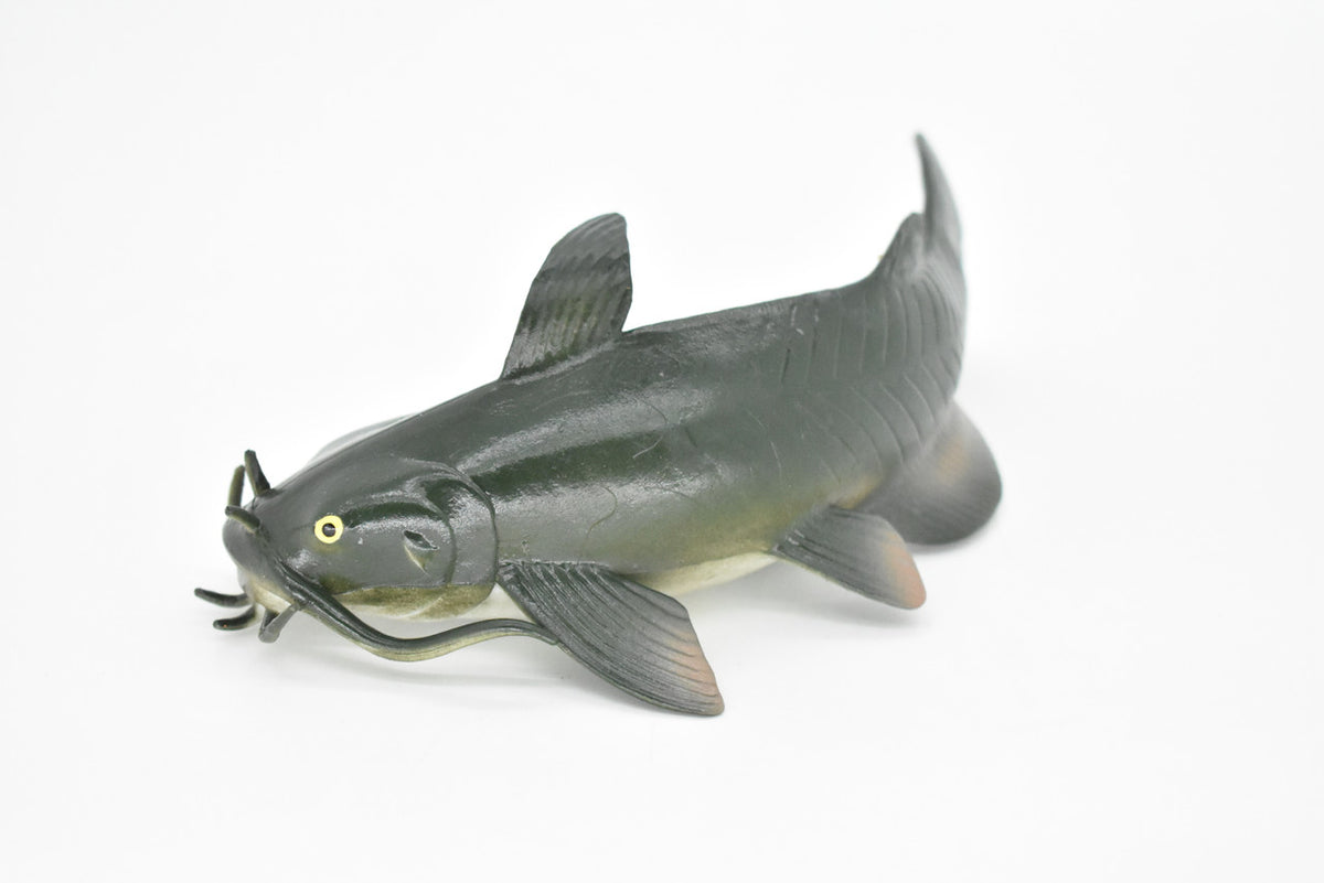 Catfish, Toy, Freshwater Fish, Bullheads, Very Realistic Rubber Figure, Model, Educational, Animal, Hand Painted Figurines,   6"     CH031 BB72