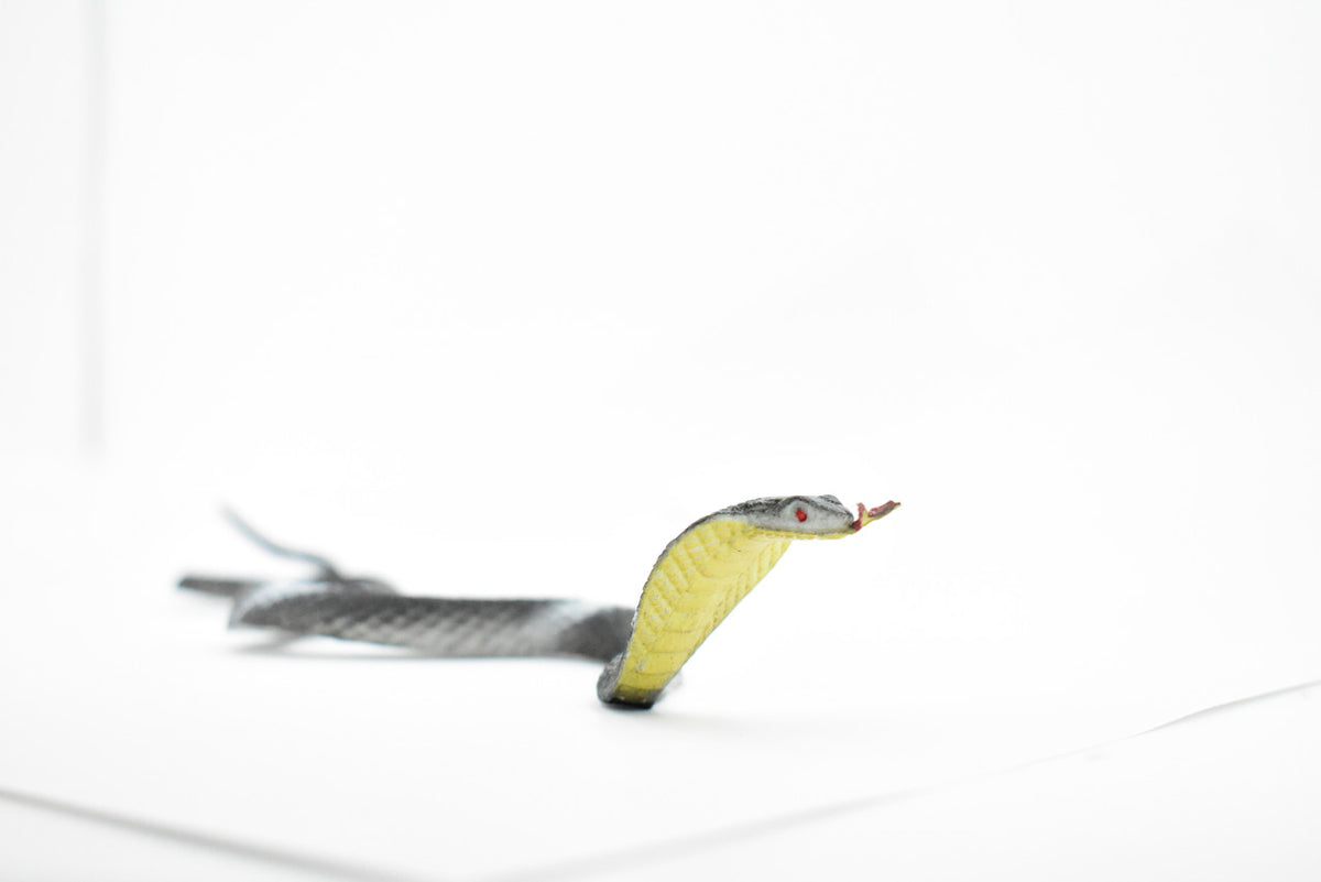 Snake, Cobra, Black and White, Rubber Reptile, Educational, Realistic Hand Painted, Figure, Lifelike Model, Figurine, Replica, Gift,      10"       F2081 B142