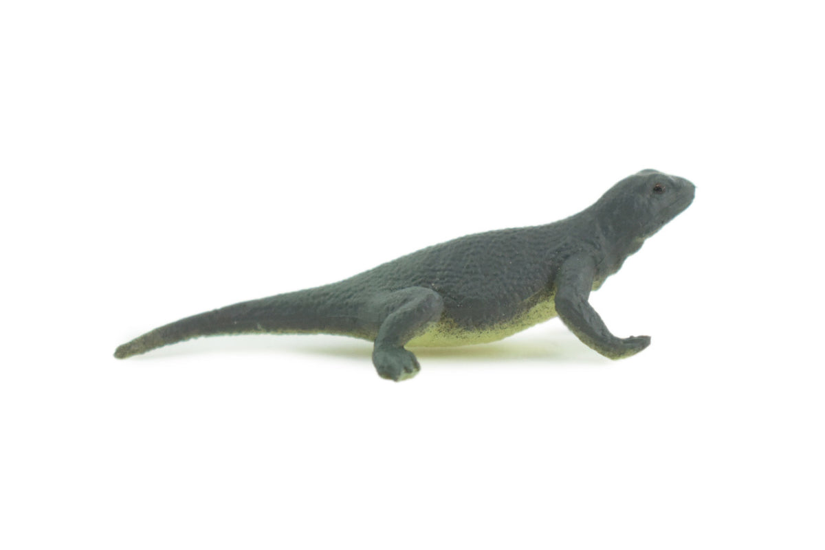 Gray's Monitor Lizard, Rubber Reptile, Hand Painted, Educational, Realistic, Model, Replica, Toys, Kids, Gift, 2 Inches. WR43 B197