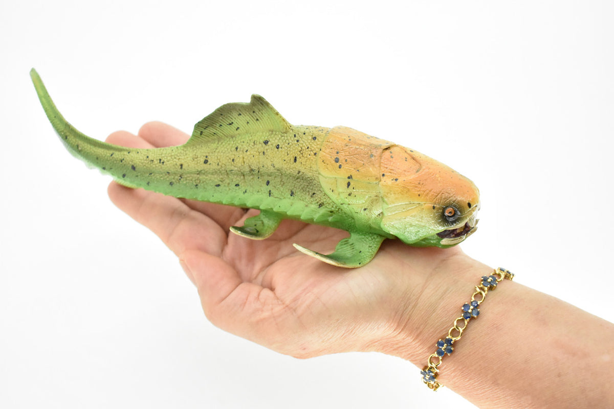 Dunkleosteus, Prehistoric Fish, Dinosaur, Museum Quality, Rubber Fish, Hand Painted, Realistic Toy Figure, Diorama Model, Kids, Educational, Gift,    8 Inches.