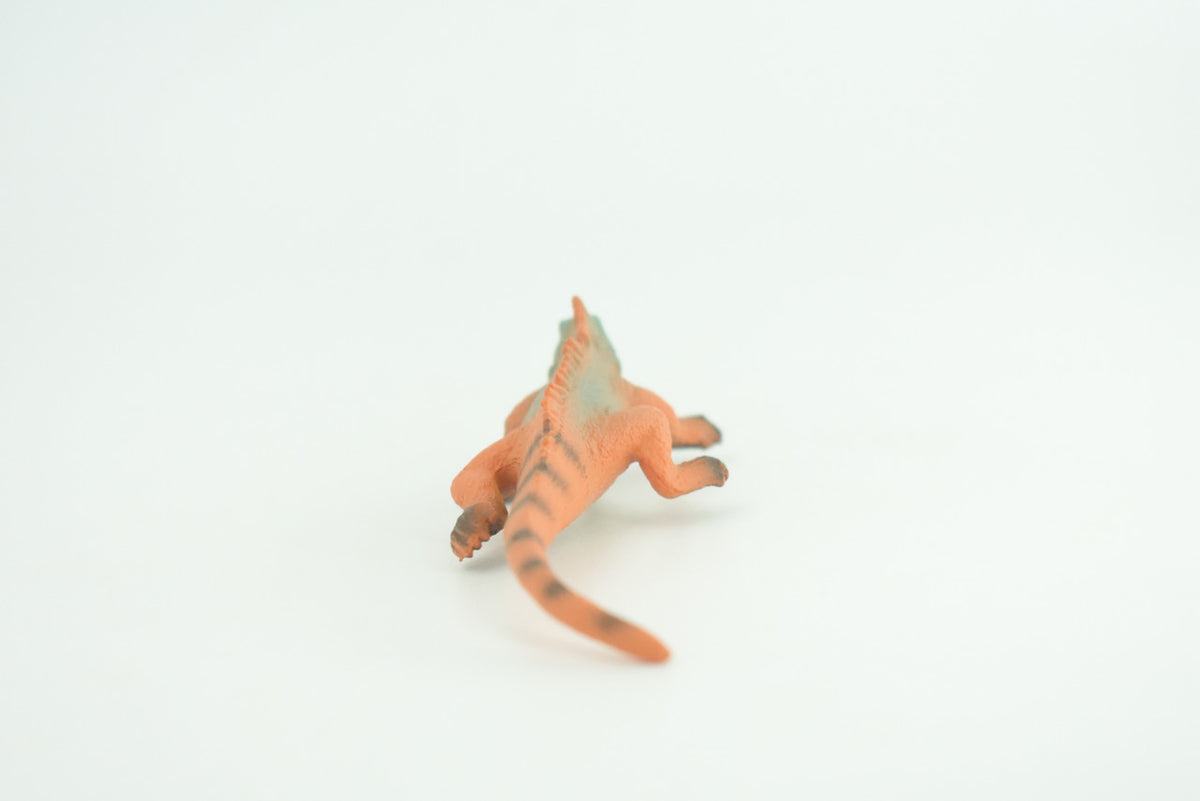 Iguana, Marine iguana, Lizard, Museum Quality, Hand Painted, Hard Rubber Reptile, Educational, Toy Figure, Diorama Model, Replica, Kids, Gift,   4 Inches.      CH1056 BB218