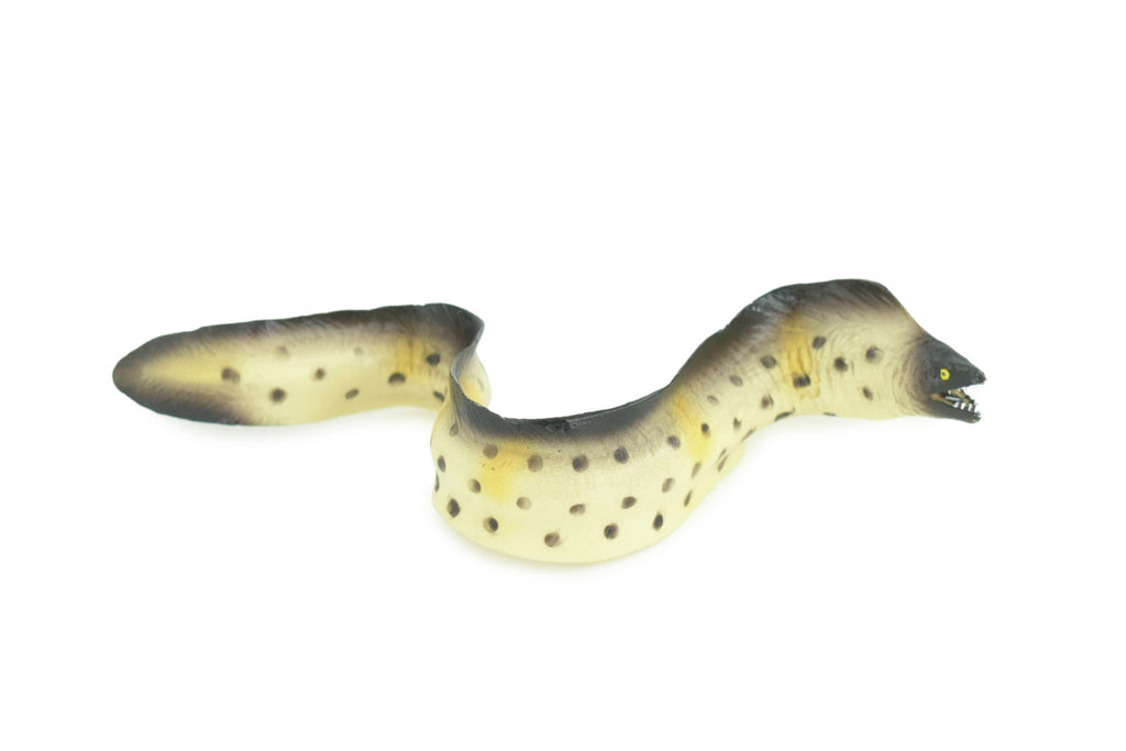 Moray Eel, Hand Painted, Museum Quality, Educational, Rubber Fish, Saltwater Eel, Realistic, Diorama, Toy, Kids, Gift, 9 Inches. CH791 BB186