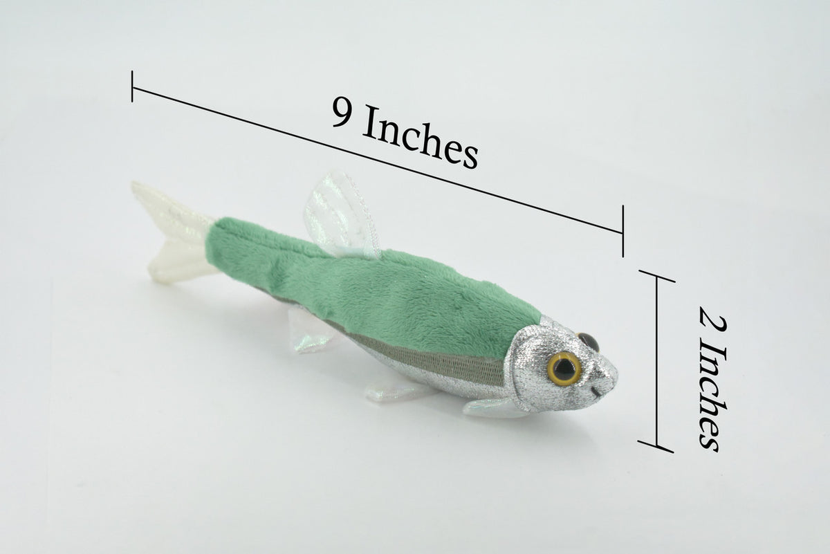 Fish, Minnow, Cyprinidae and Leuciscidae Stuffed Fish, Educational, Realistic Plush, Lifelike Shiny, Replica, Gift,   9"