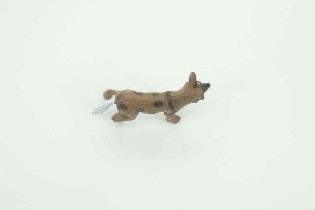 African Wild Dog, Painted Wolf, African Hunting Dog, Hand Painted, Educational, Rubber Animal, Realistic Figure, Lifelike, Gift,    2 "   SF52 B58