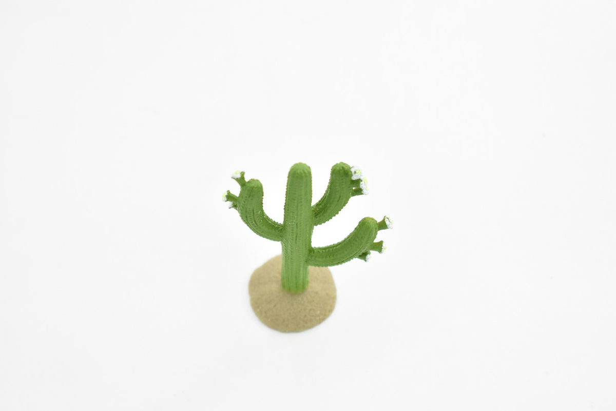 Saguaro Cactus, White Flowers, Columnar, Rubber, Educational, Desert Cactus, Realistic Figure, Model, Replica, Kids, Toys, Gift,   2 Inches.      F1518 B103