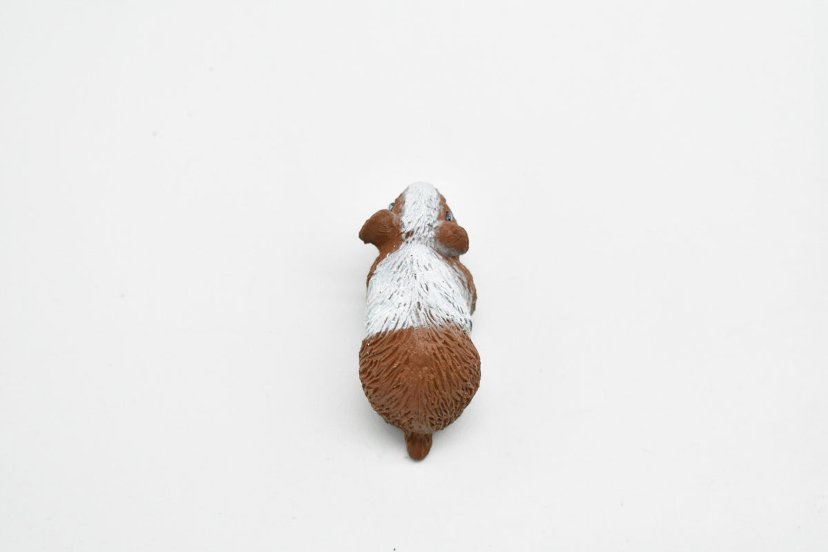 Guinea Pig, Educational, Hand Painted, Plastic Animal Design, Figure, Lifelike, Realistic Model, Replica, Gift    2 Inches.    CWG233 B306
