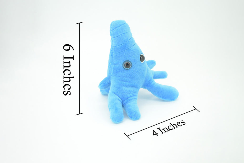 Amoeba, Microscopic creatures, Plush Amoeba proteus Design, Educational, Figure, Replica, Gift,    6"     GM01 B108