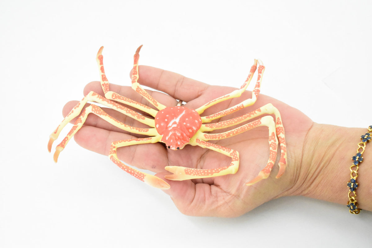 Crab, Spider Crab, Museum Quality, Hand Painted, Rubber Crustaceans, Realistic Toy Figure, Model, Replica, Kids, Educational, Gift,    7"    CH271 BB124