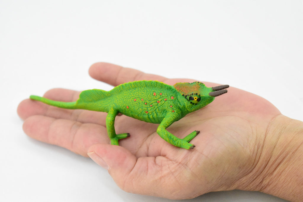 Lizard, Jackson's Horned Chameleon, Museum Quality, Hand Painted, Rubber Reptile, Educational, Realistic, Lifelike, Educational, Gift,    6"   CH270 BB124