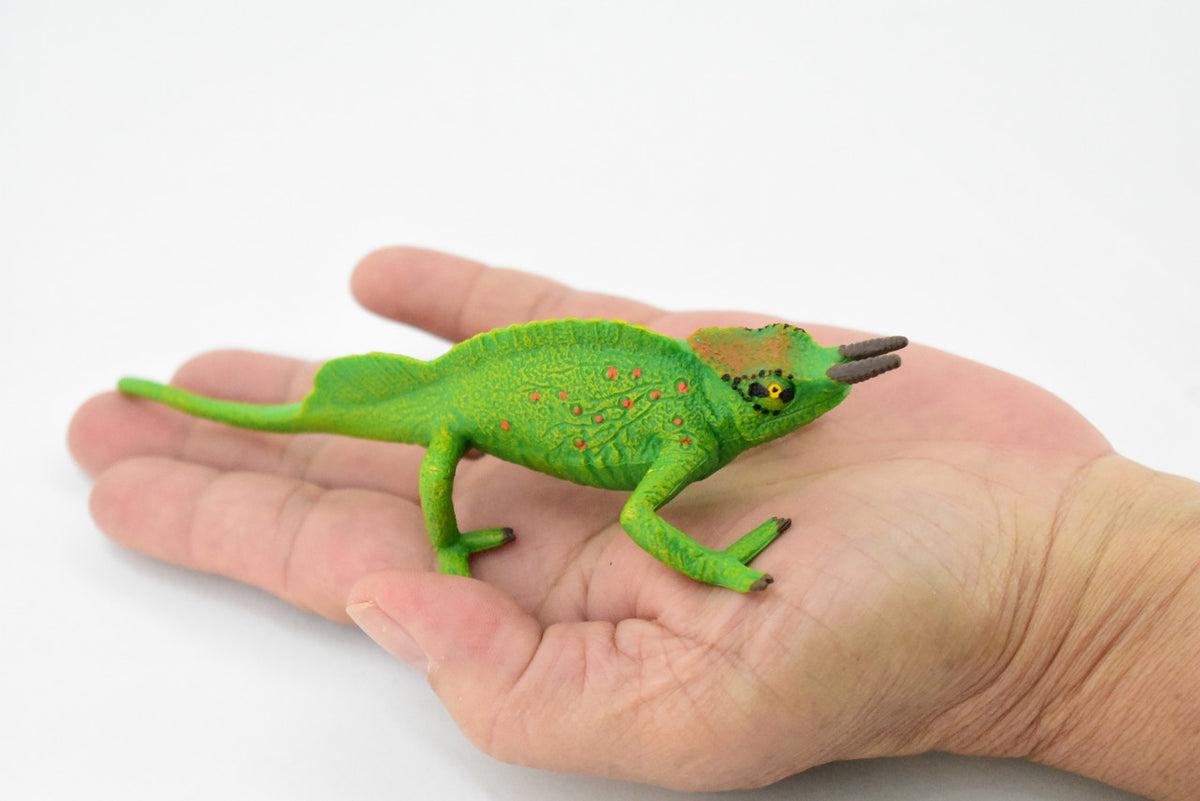Lizard, Jackson's Horned Chameleon, Museum Quality, Hand Painted, Rubber Reptile, Educational, Realistic, Lifelike, Educational, Gift,    6"   CH270 BB124