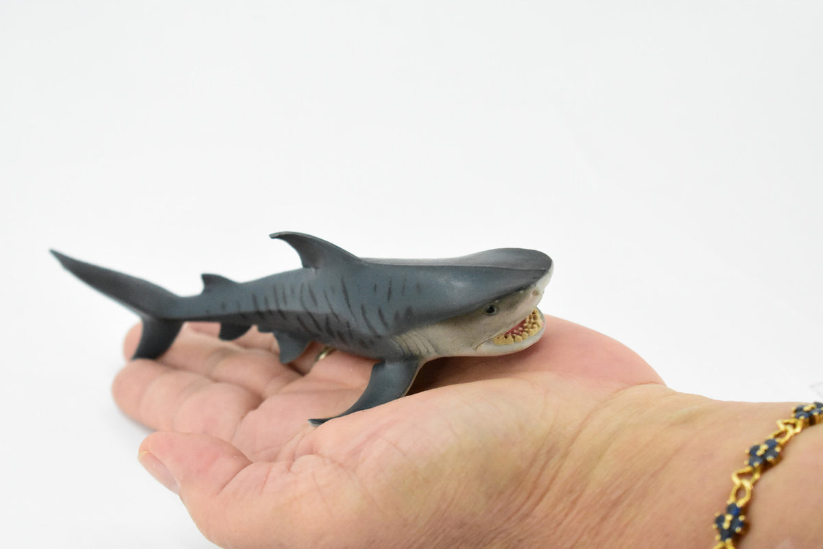 Tiger Shark, Baby, Pup, Museum Quality, Educational, Hand Painted, Rubber Fish, Realistic Toy Figure, Diorama Model, Replica, Kids, 6 Inches. 