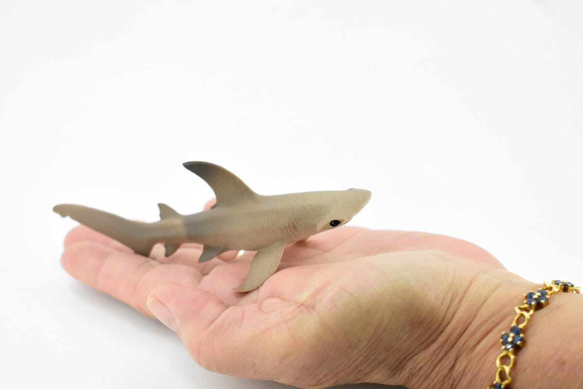 Scalloped Hammerhead Shark, Museum Quality, Educational, Rubber Fish, Hand Painted, Realistic Toy Figure, Diorama Model, Kids, Educational, 5 Inches. 