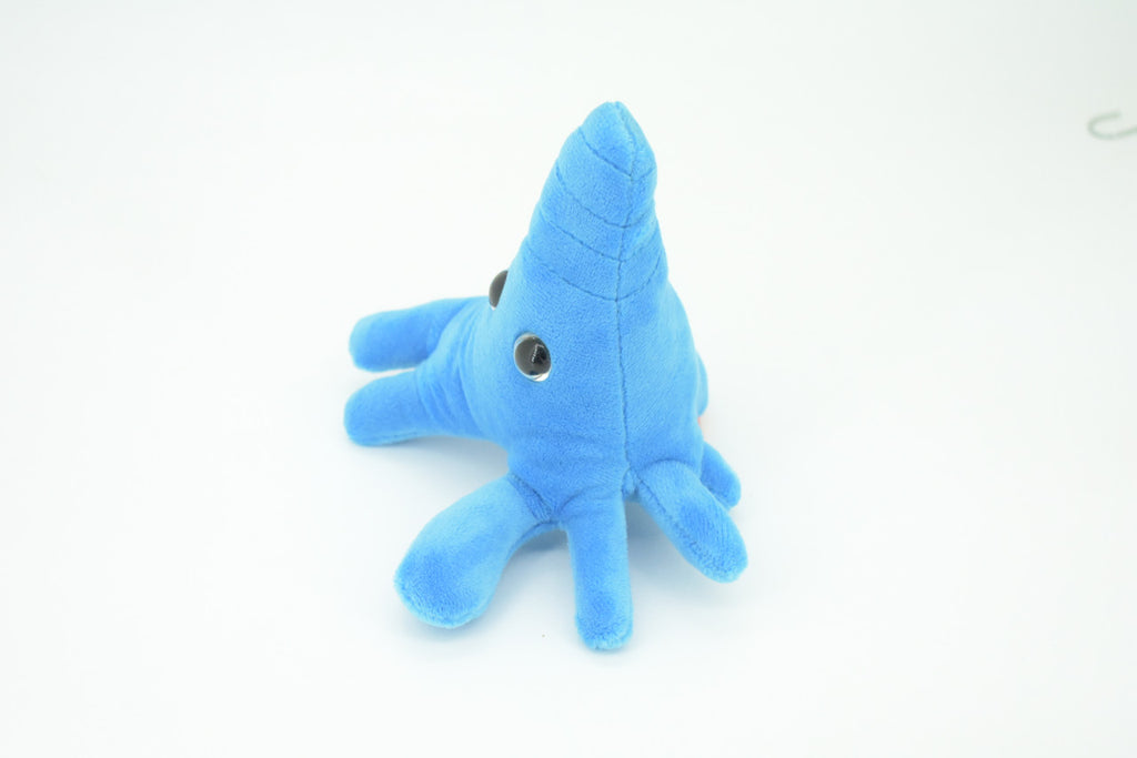 Amoeba, Microscopic creatures, Plush Amoeba proteus Design, Educational, Figure, Replica, Gift,    6"     GM01 B108