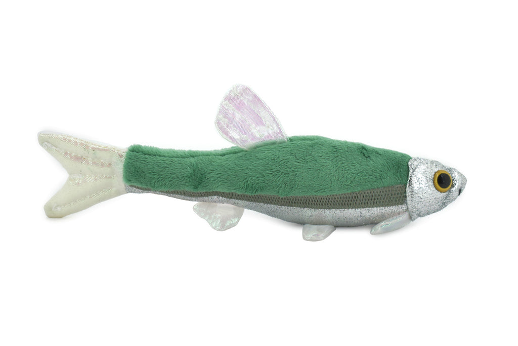 Fish, Minnow, Cyprinidae and Leuciscidae Stuffed Fish, Educational, Realistic Plush, Lifelike Shiny, Replica, Gift,   9"