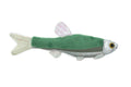 Fish, Minnow, Cyprinidae and Leuciscidae Stuffed Fish, Educational, Realistic Plush, Lifelike Shiny, Replica, Gift,   9"