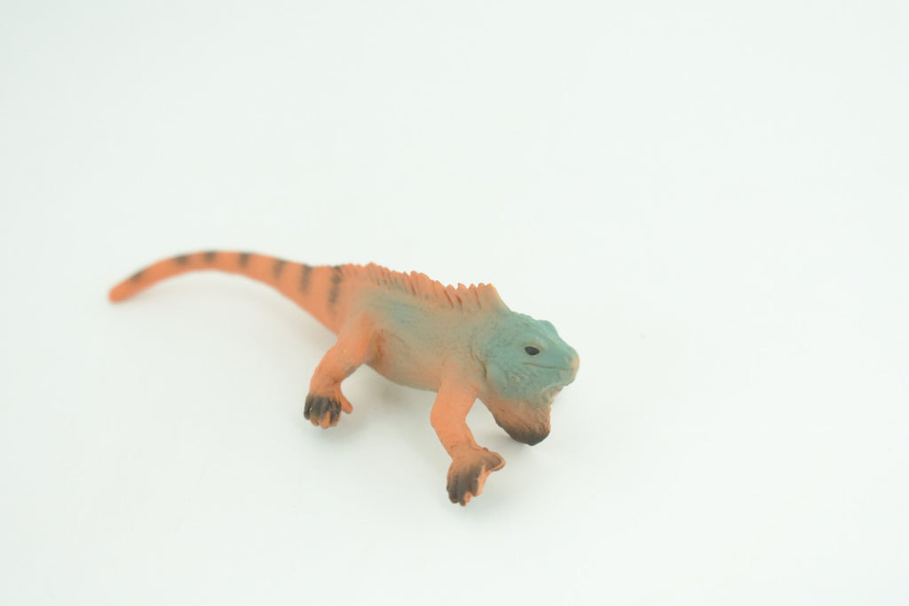 Iguana, Marine iguana, Lizard, Museum Quality, Hand Painted, Hard Rubber Reptile, Educational, Toy Figure, Diorama Model, Replica, Kids, Gift,   4 Inches.      CH1056 BB218