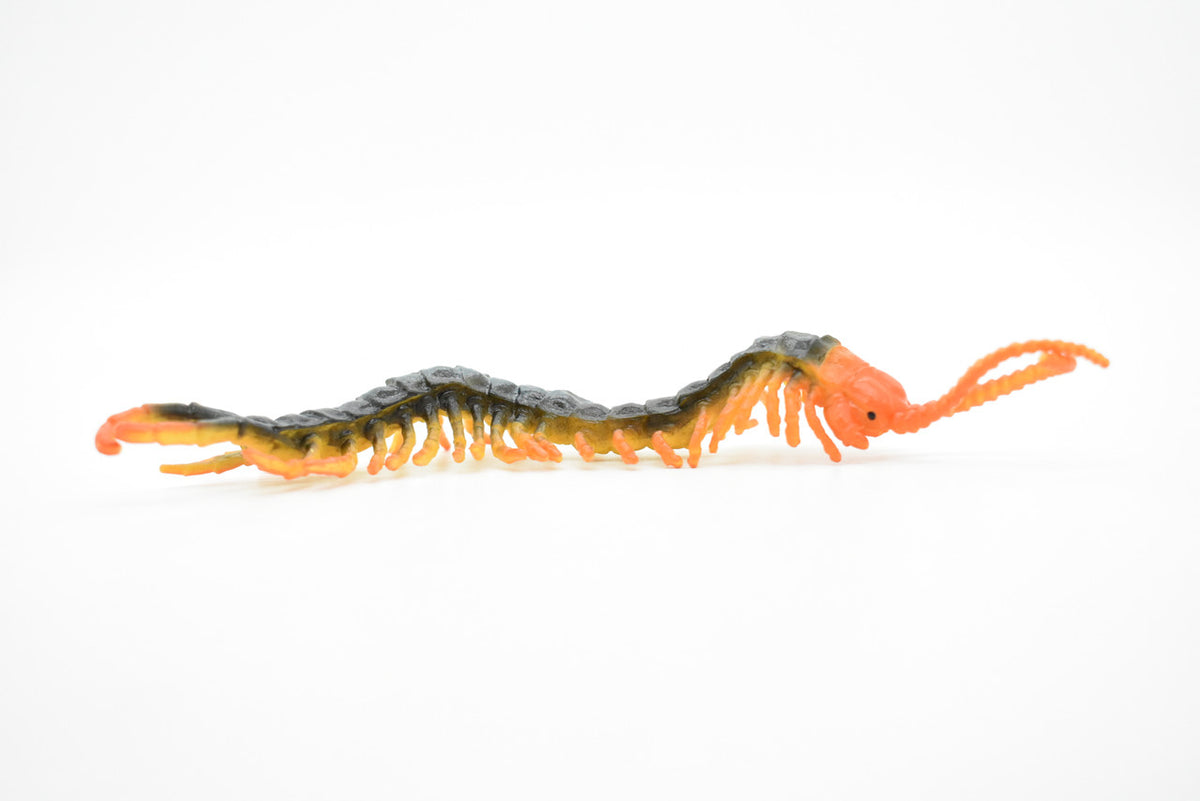 Centipede, Arthropods, Chilopoda, Museum Quality, Rubber Insect, Hand Painted, Realistic Toy Figure, Diorama Model, Kids, Educational,  7 Inches. 