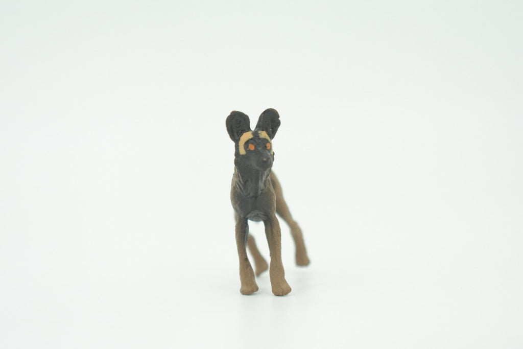 African Wild Dog, Painted Wolf, African Hunting Dog, Hand Painted, Educational, Rubber Animal, Realistic Figure, Lifelike, Gift,    2 "   SF52 B58